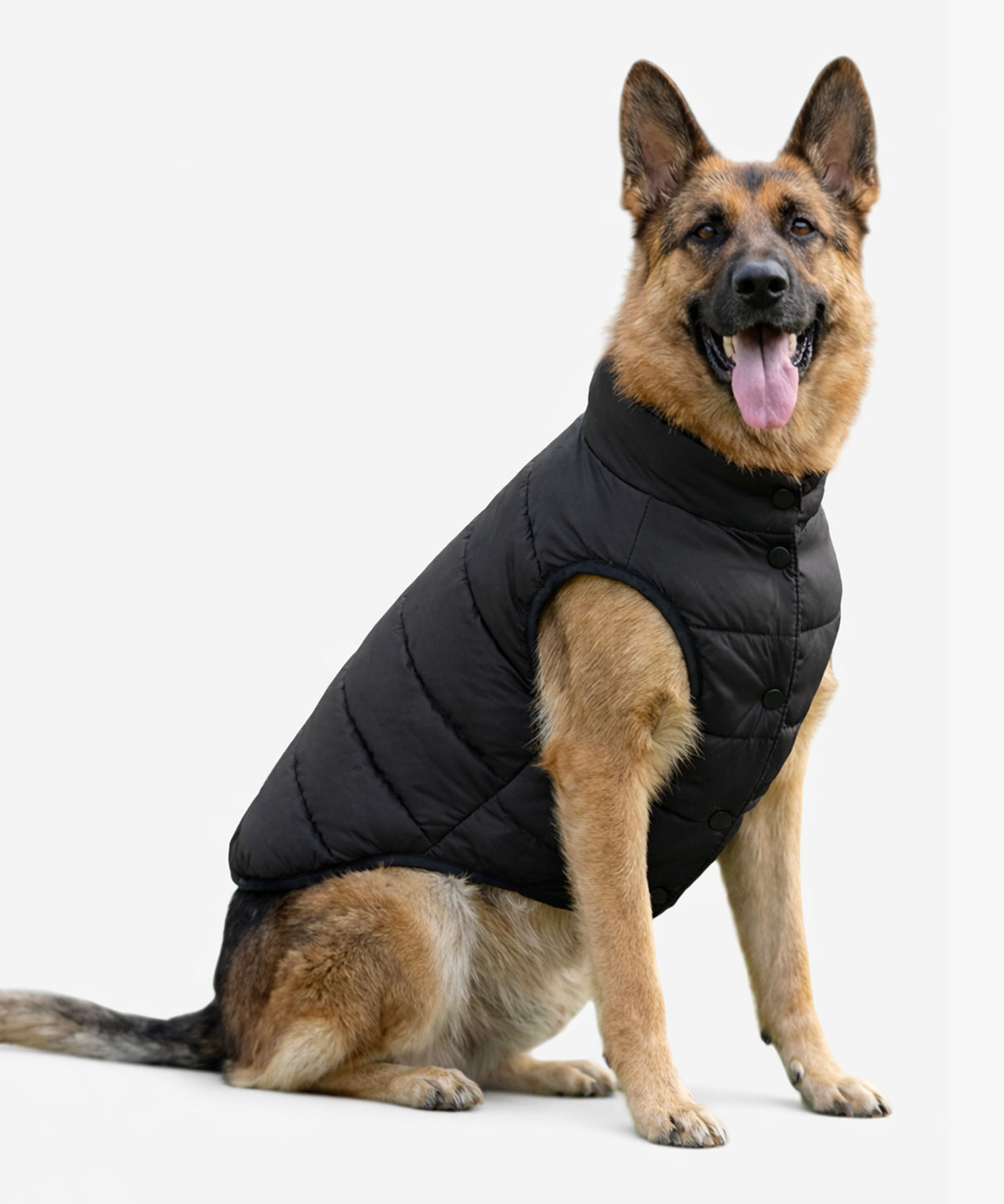 Personalised Dog Puffer Jacket