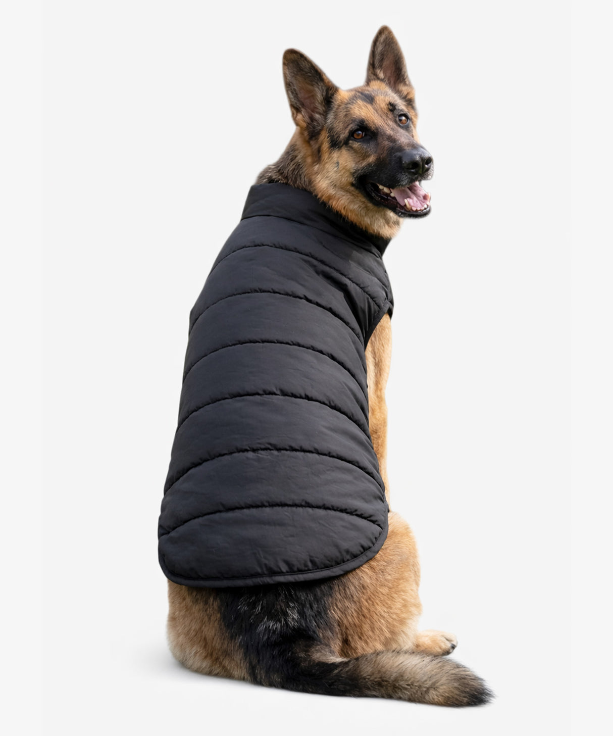 Personalised Dog Puffer Jacket