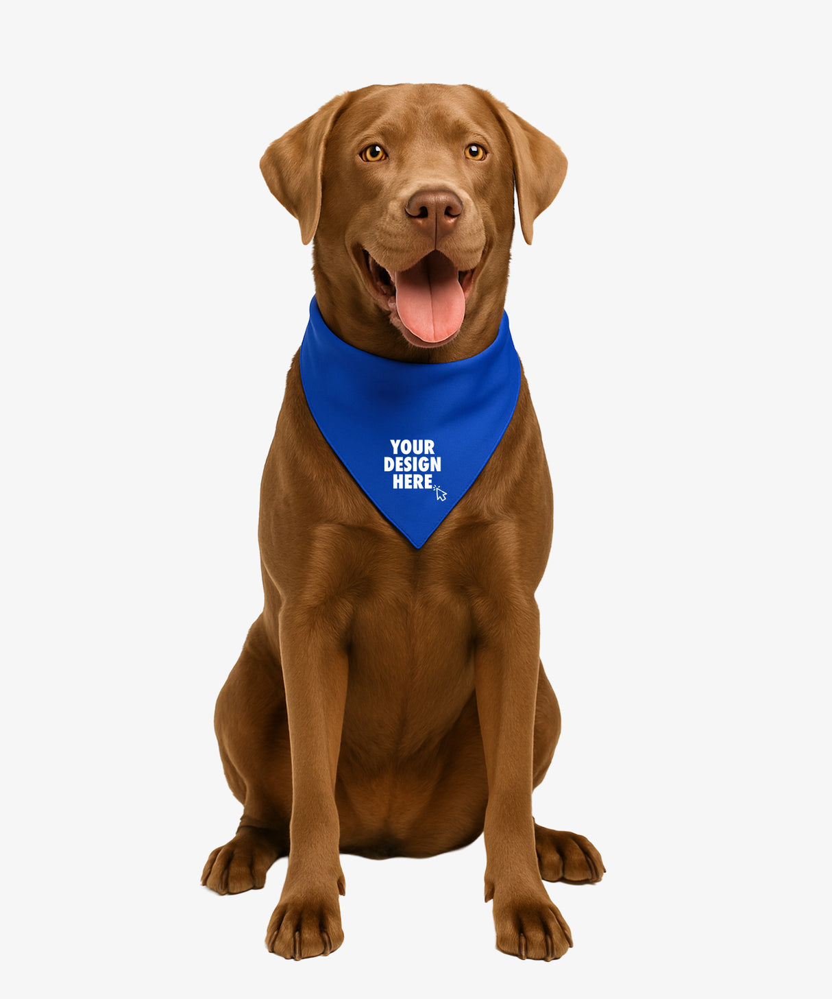 Personalised Dog Bandana