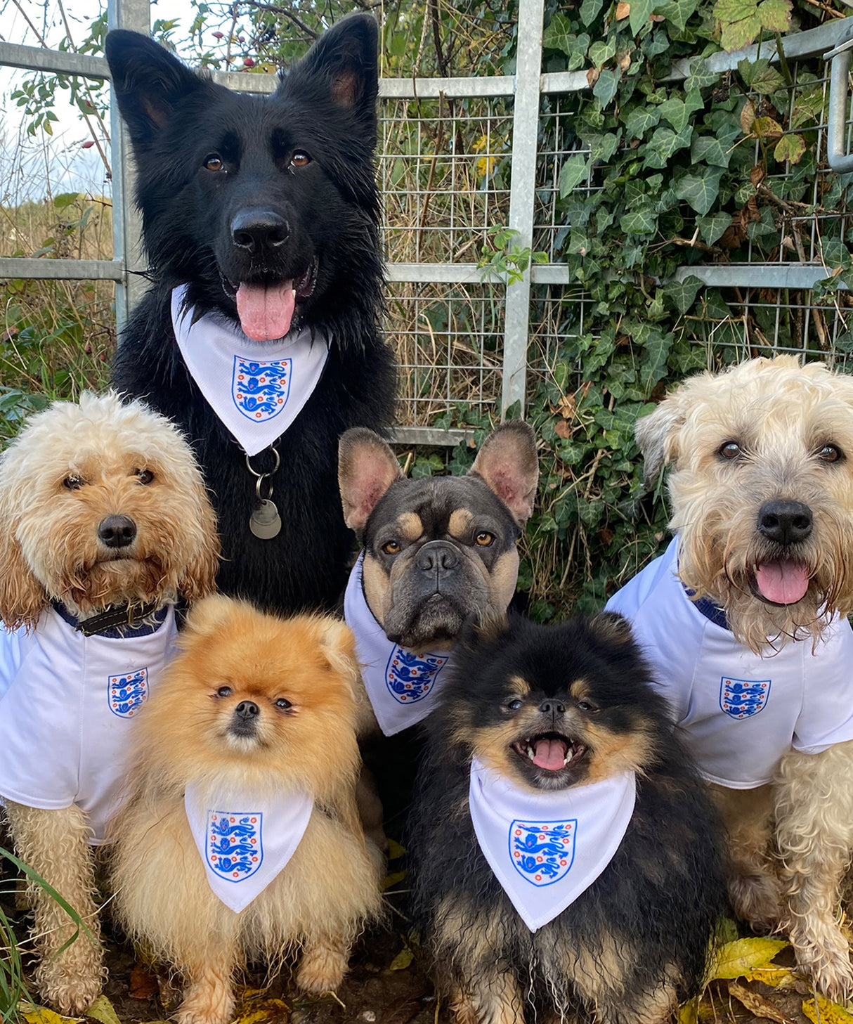 Personalised Dog Bandana
