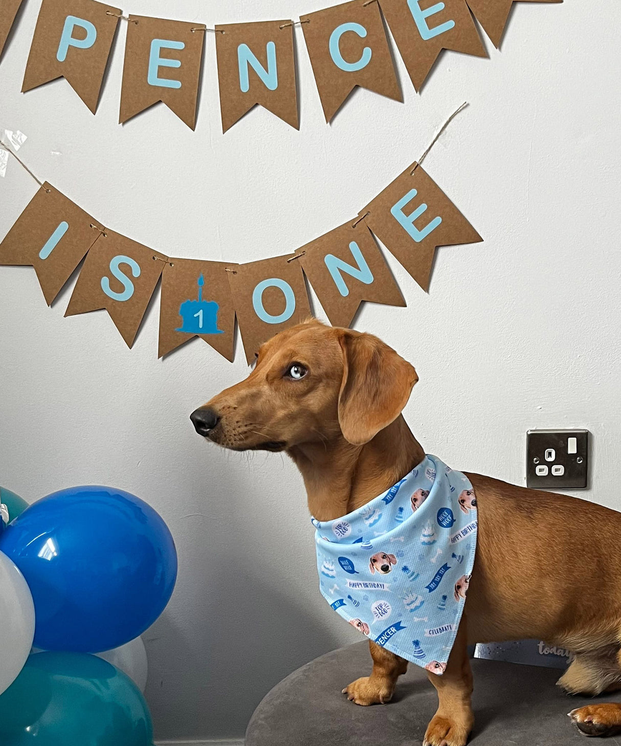 Personalised Dog Bandana