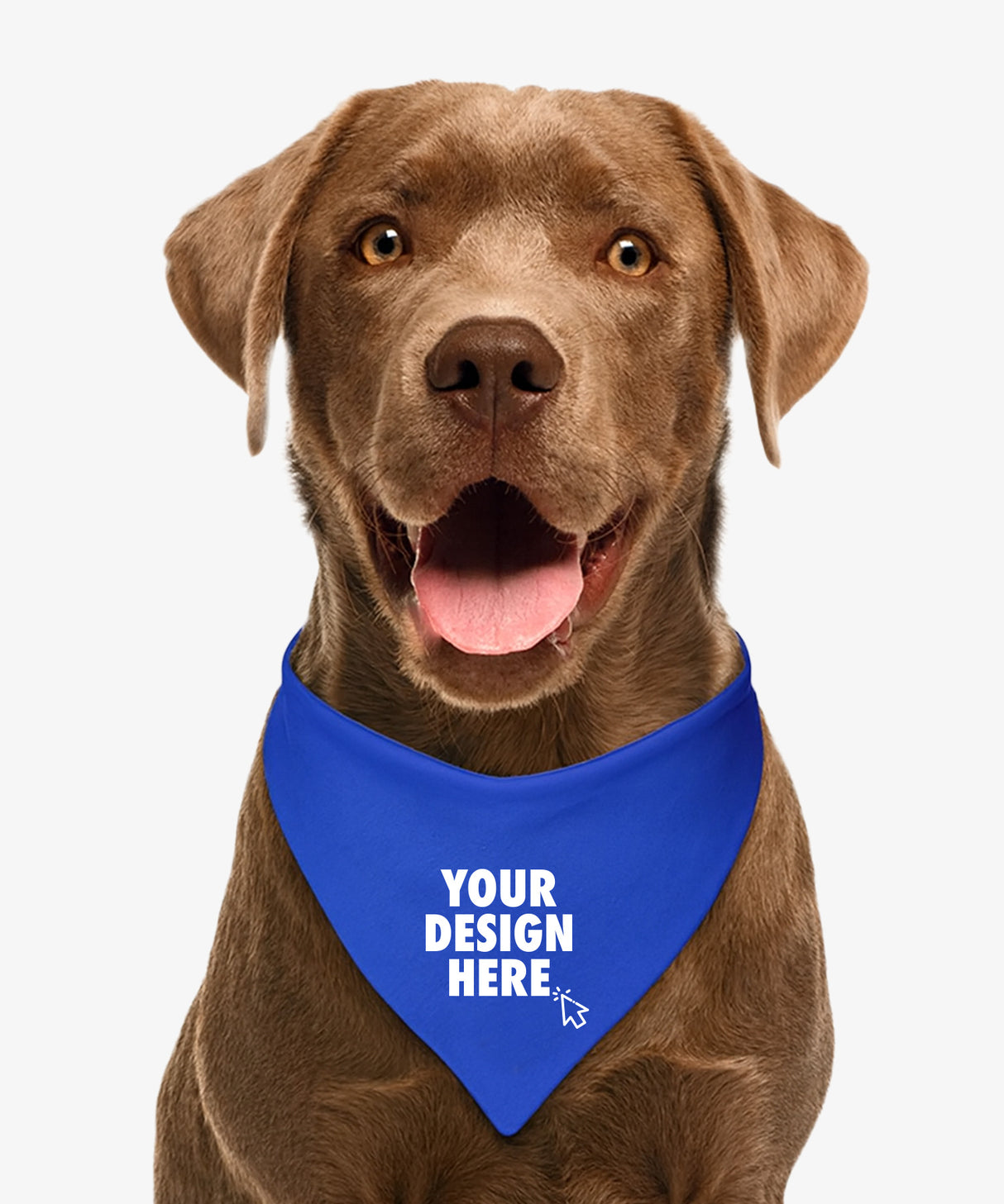 Personalised Dog Bandana