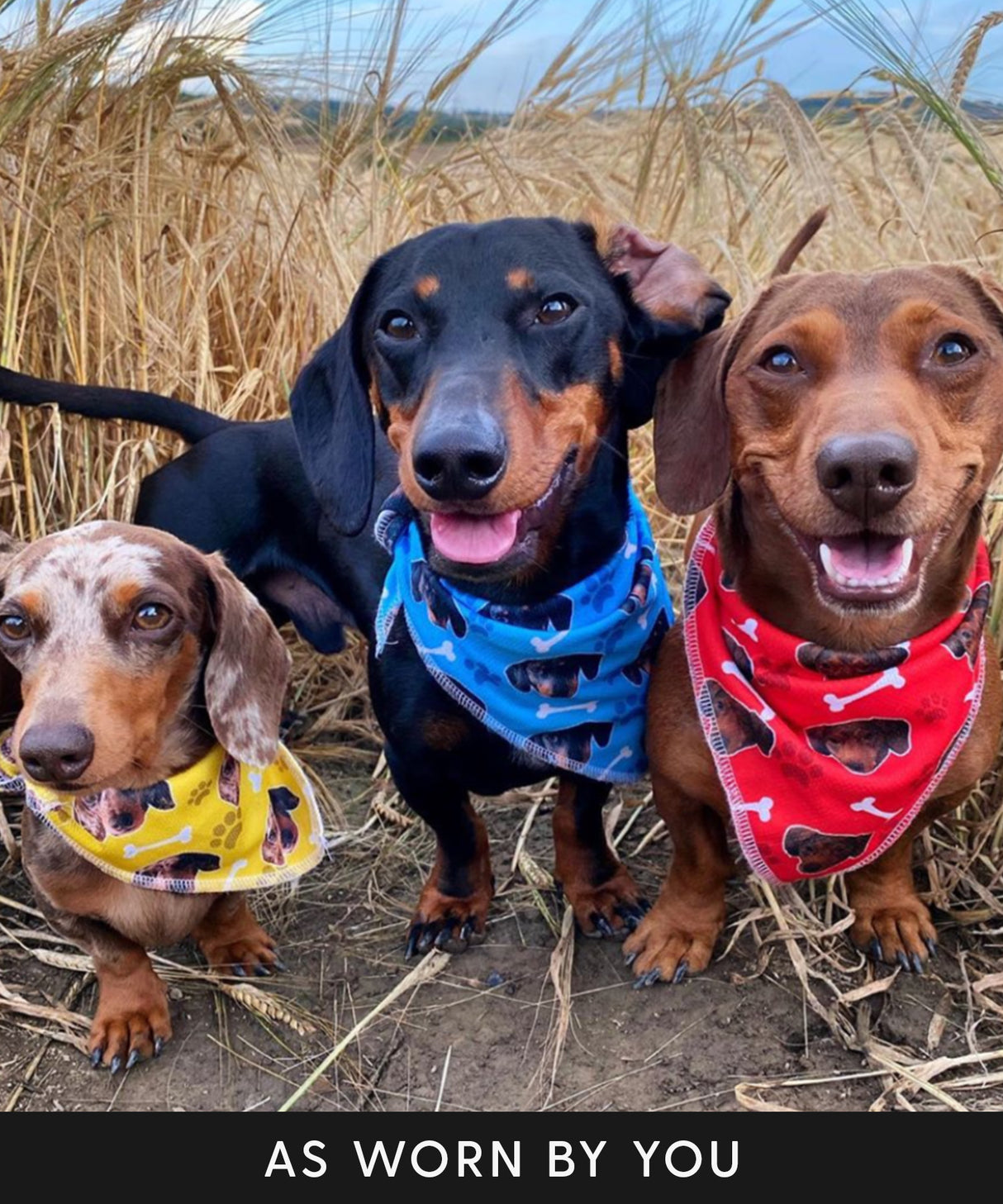 Personalised Dog Bandana