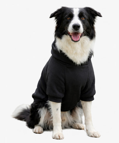 Personalised Dog Hoodie