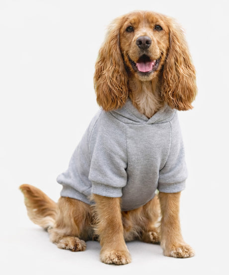 Personalised Dog Hoodie