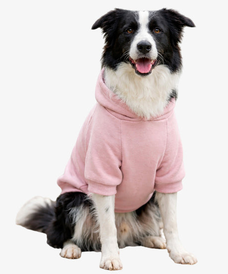 Personalised Dog Hoodie