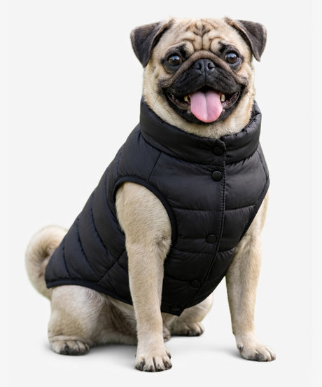 Personalised Dog Puffer Jacket