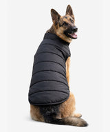 Personalised Dog Puffer Jacket