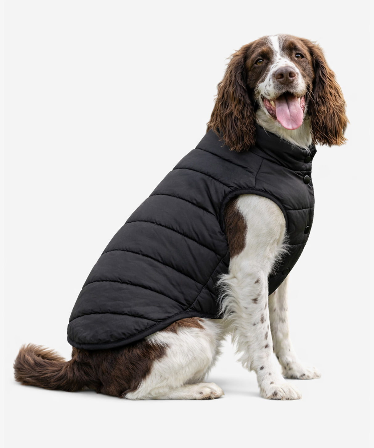 Personalised Dog Puffer Jacket