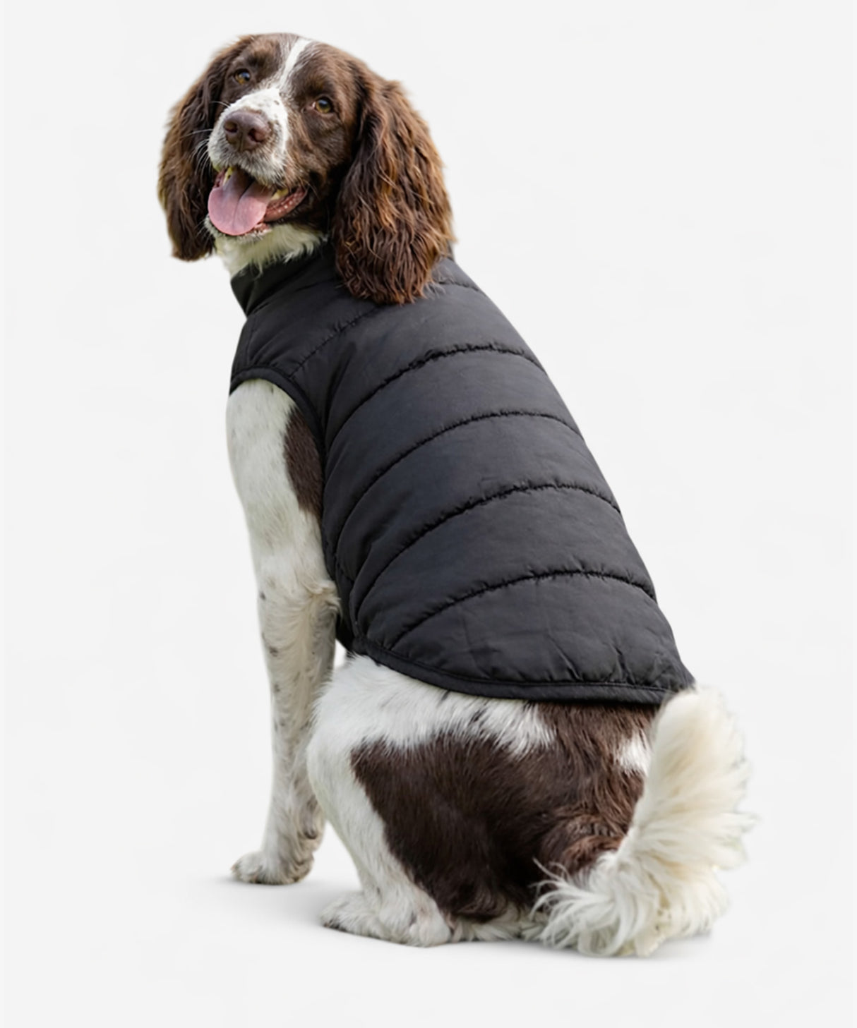 Personalised Dog Puffer Jacket