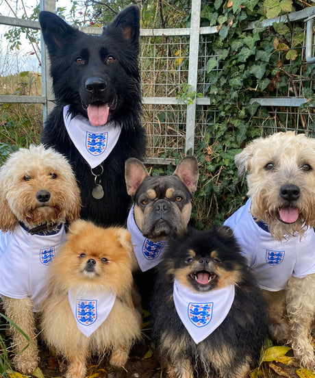 Personalised Dog Bandana
