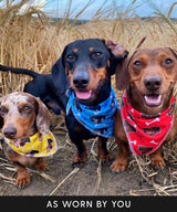 Personalised Dog Bandana