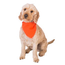 Personalised Dog Bandana