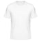 Men's Performance Sports T Shirt